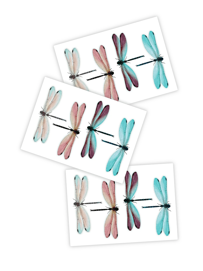 Ducky Street Dragonflies Temporary Tattoos - #HolaNanu#NDIS #creativekids
