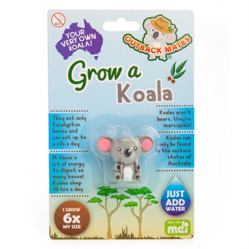 Grow A Koala - #HolaNanu#NDIS #creativekids