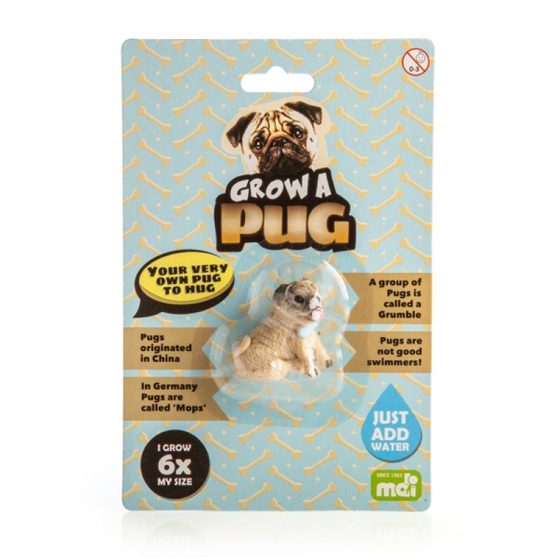 Grow A Pug - #HolaNanu#NDIS #creativekids