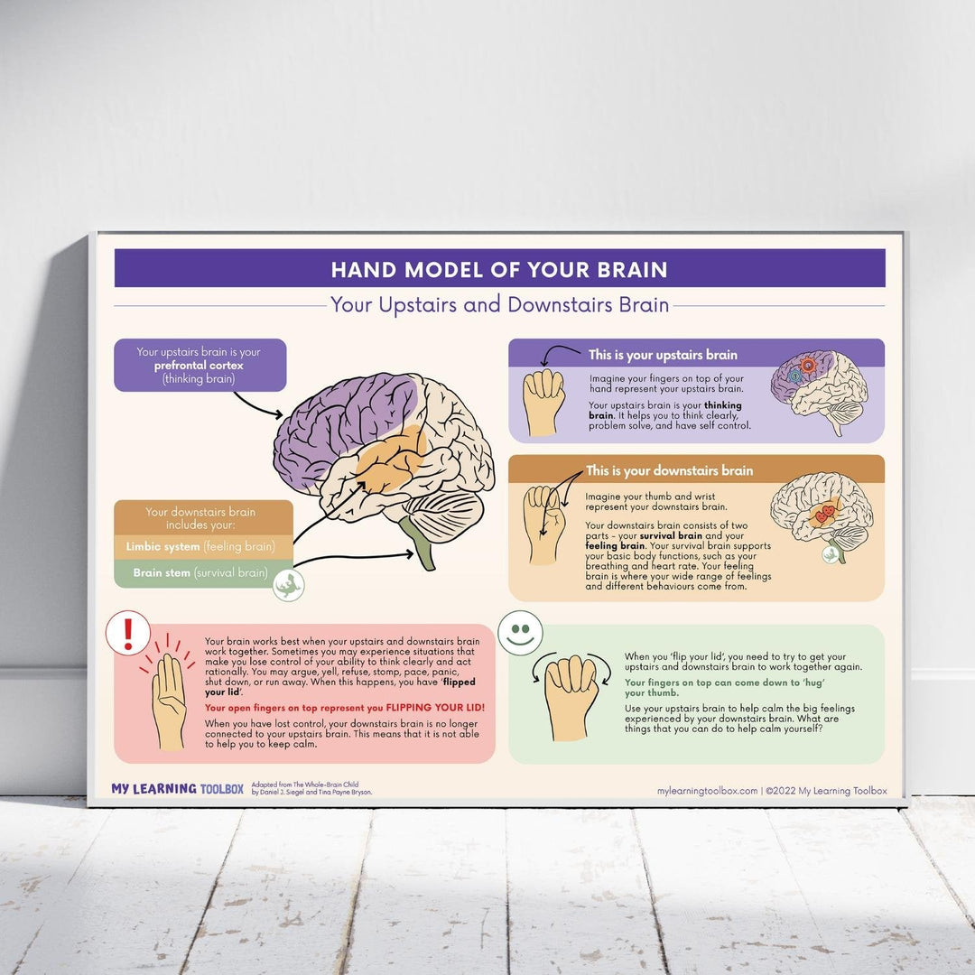 Hand Model of Your Brain Poster - #HolaNanu#NDIS #creativekids