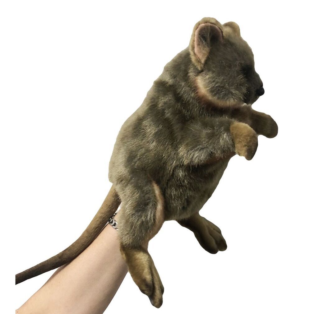 Hansa Quokka Puppet - #HolaNanu#NDIS #creativekids