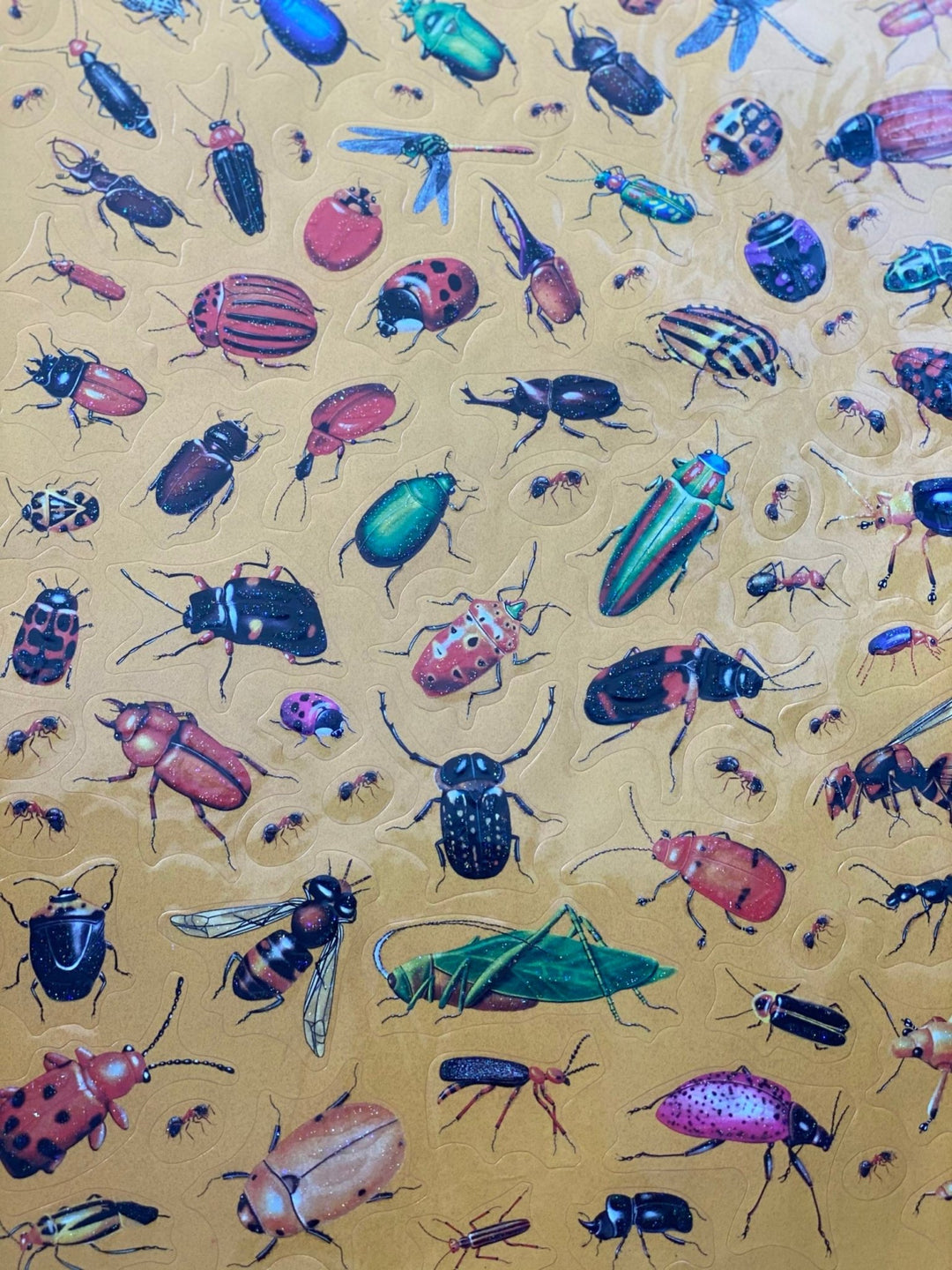 Insects glittered stickers - #HolaNanu#NDIS #creativekids