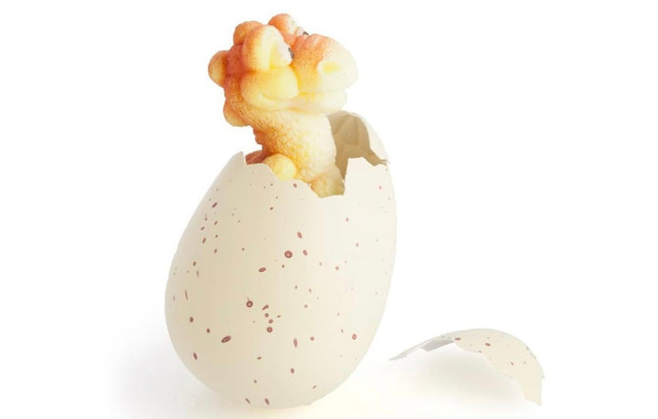 Jumbo Grow Dino Egg - #HolaNanu#NDIS #creativekids