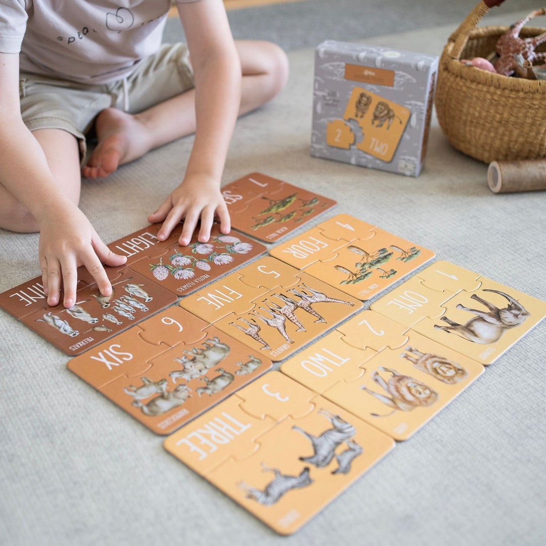 Modern Monty Africa Counting Puzzle - #HolaNanu#NDIS #creativekids