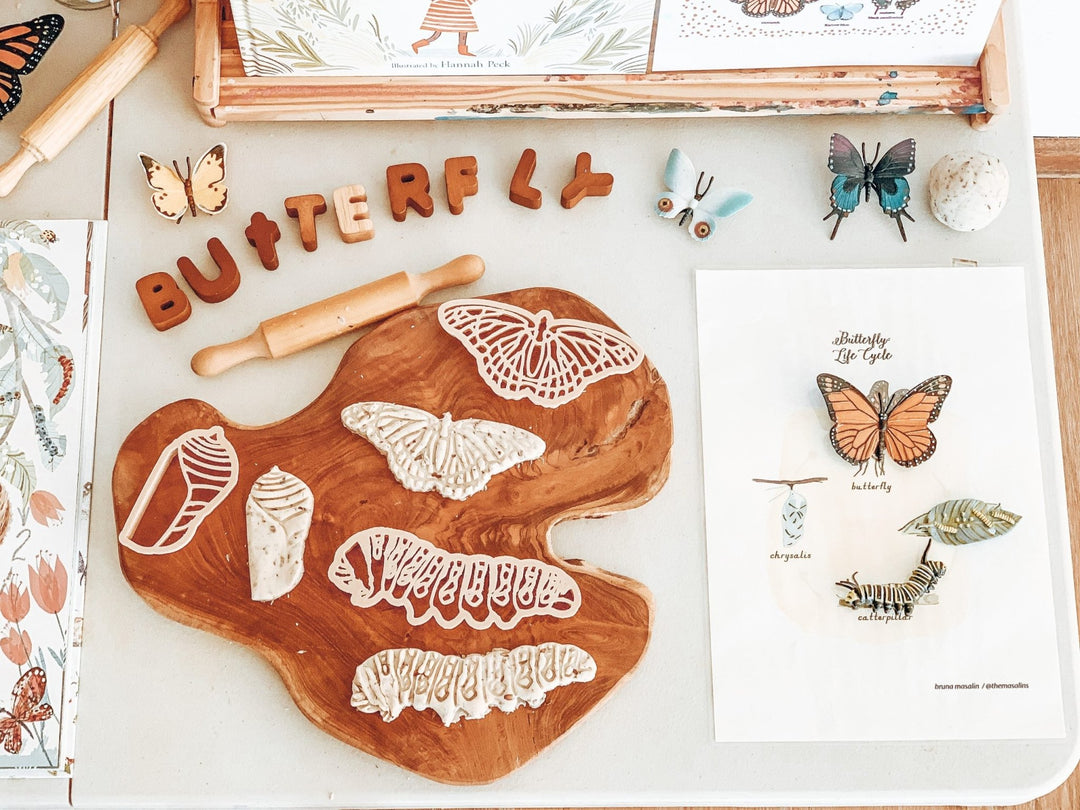 Monarch Butterfly Life Cycle Eco Cutter Set - #HolaNanu#NDIS #creativekids