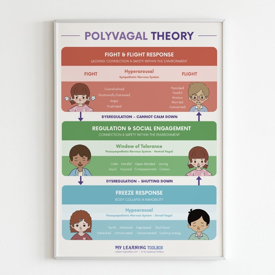NEW Polyvagal Theory Poster - #HolaNanu#NDIS #creativekids