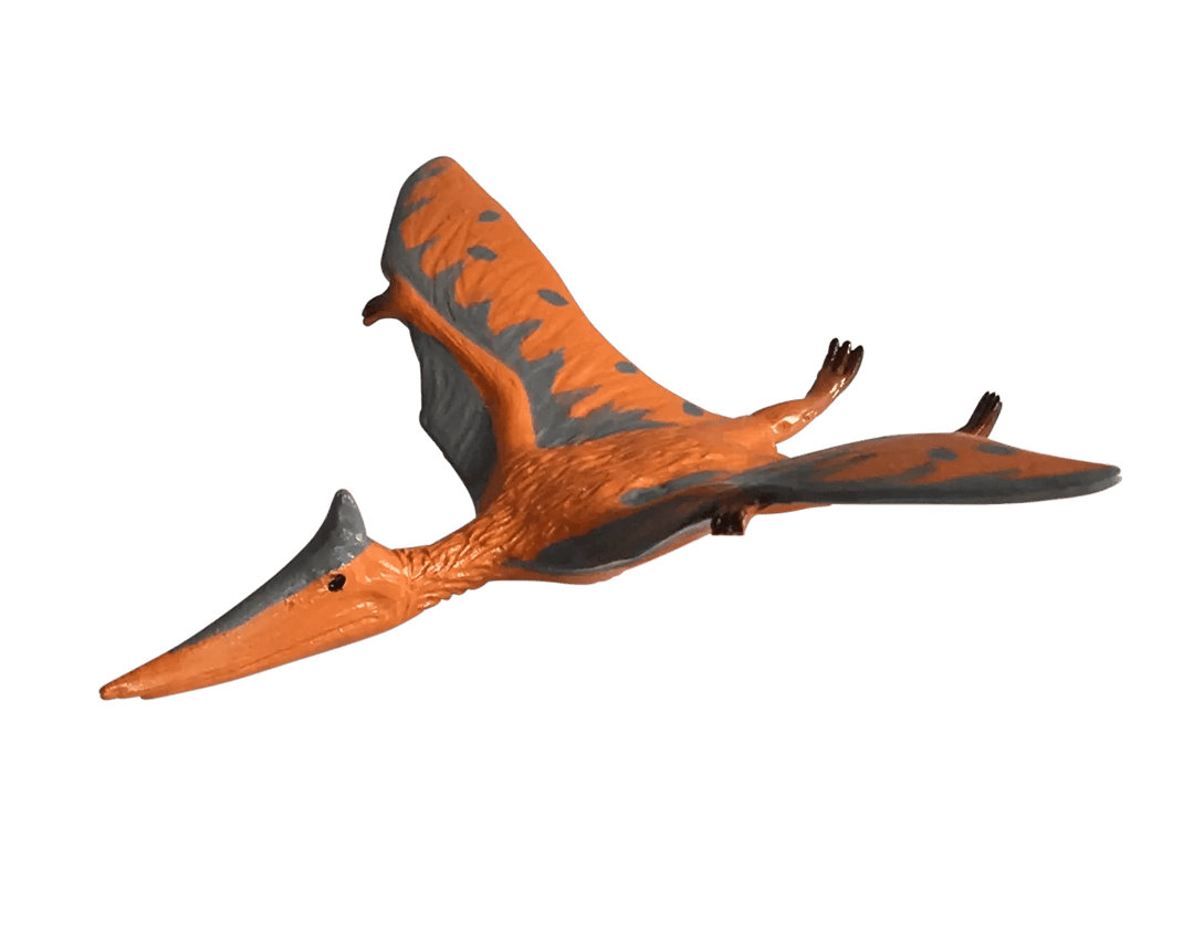 Pteranodon Dinosaur - #HolaNanu#NDIS #creativekids