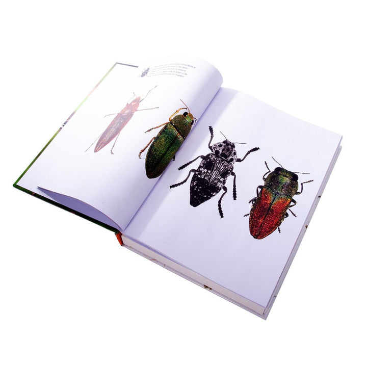 Puzzle Book - Insects - #HolaNanu#NDIS #creativekids