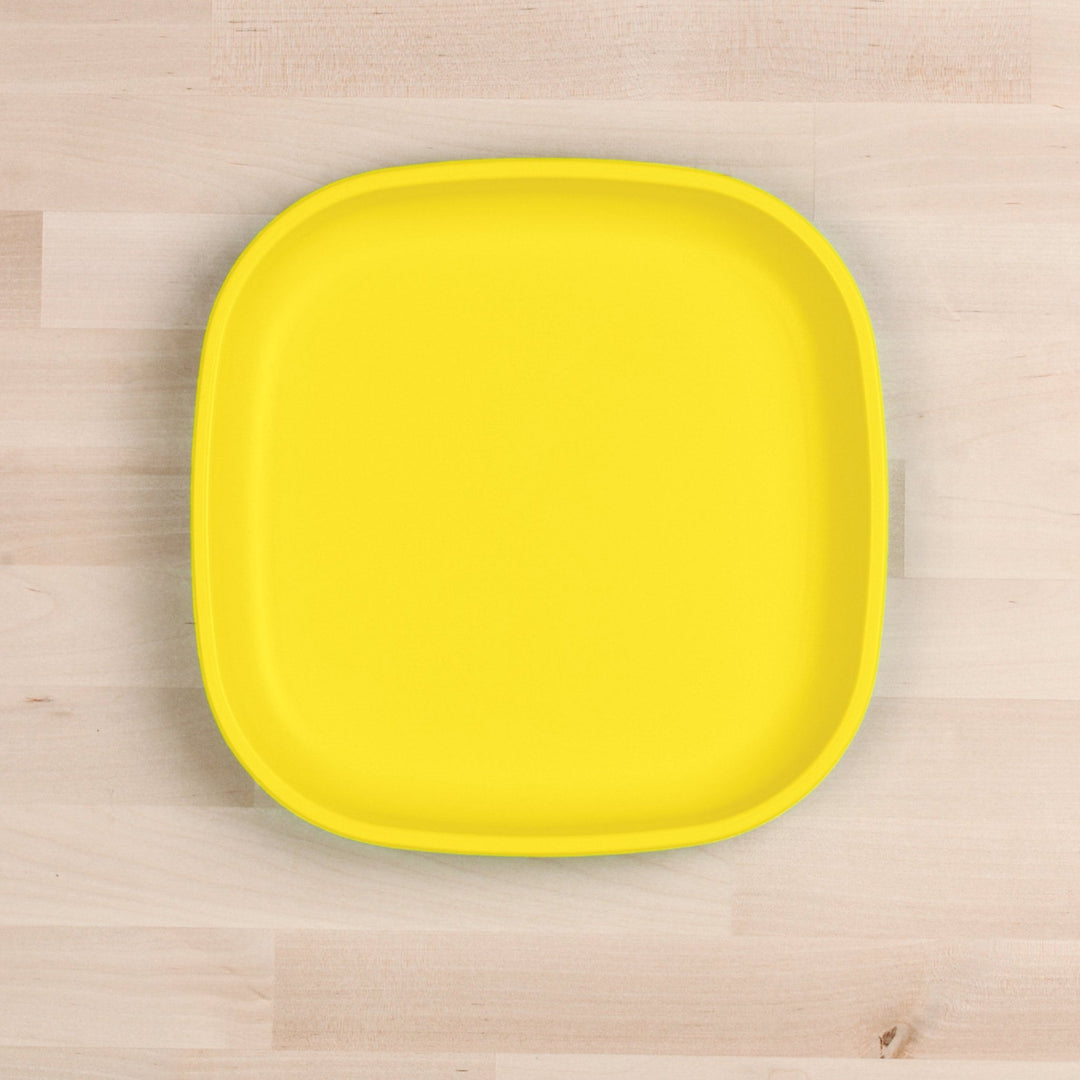 Re-Play Large Flat Plate - #HolaNanu#NDIS #creativekids