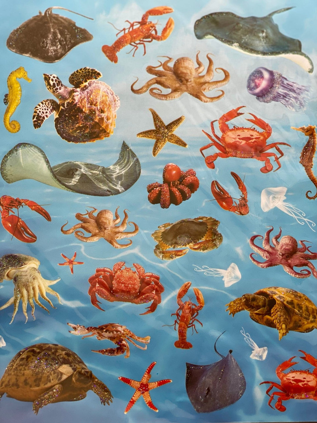 Sea World glittered stickers - #HolaNanu#NDIS #creativekids