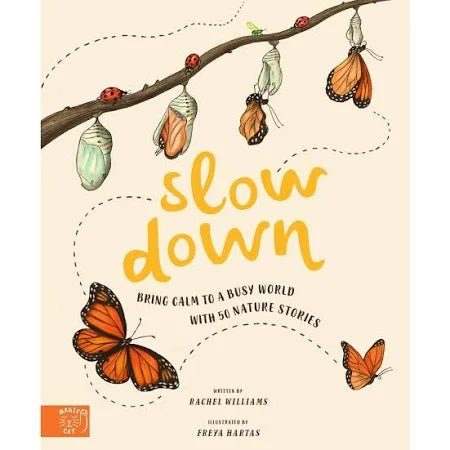 Slow Down Book - #HolaNanu#NDIS #creativekids