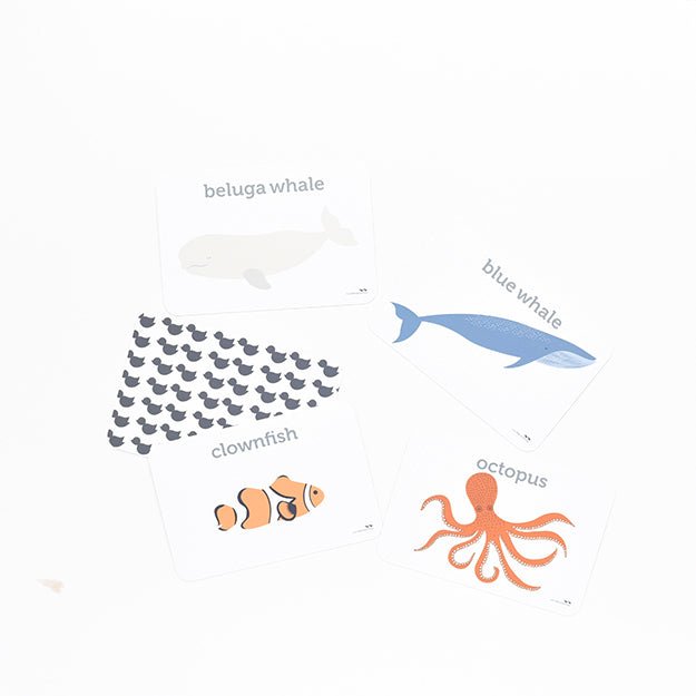 Two Little Ducklings Sea Life Flash Cards - #HolaNanu#NDIS #creativekids