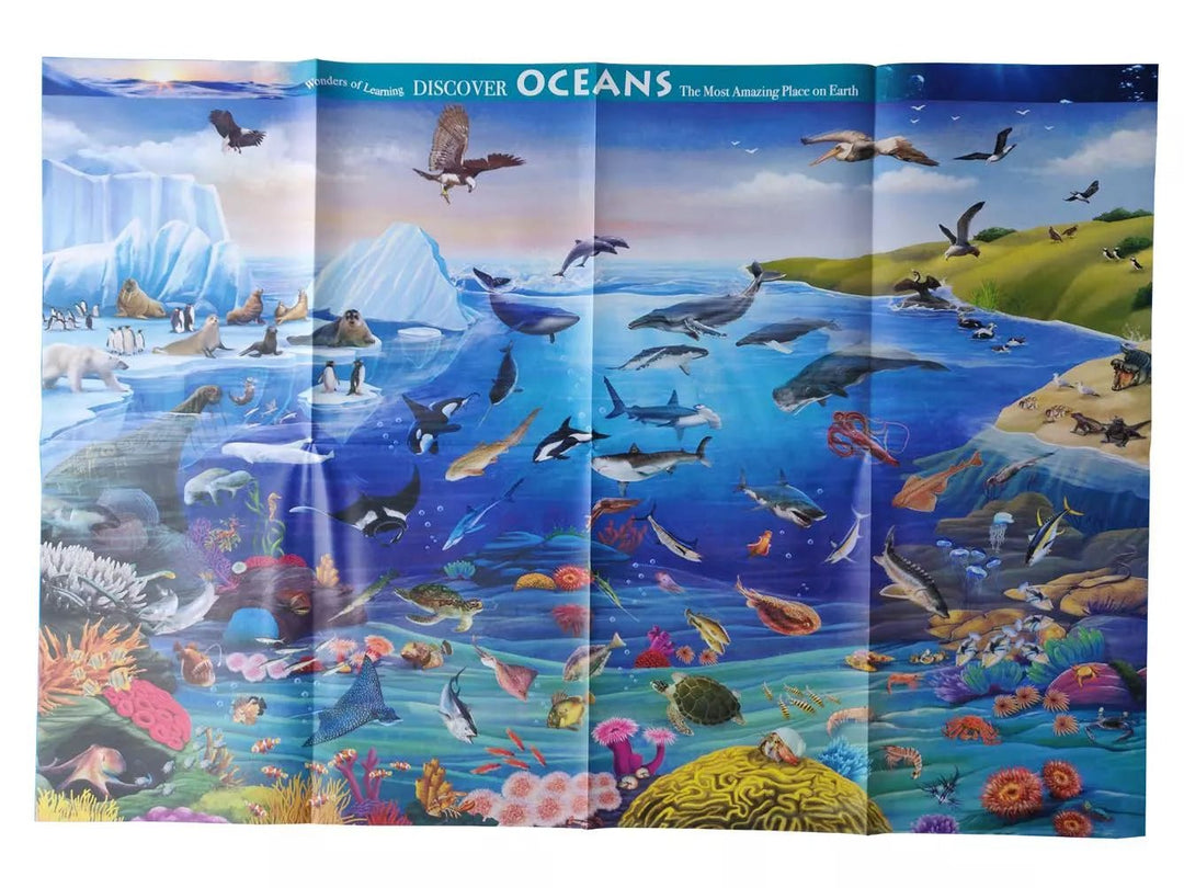 Wonders Of Learning - Discover Oceans Tin Set - #HolaNanu#NDIS #creativekids